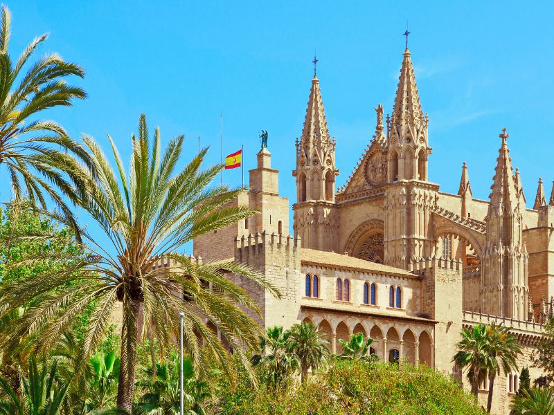 mallorca dmc (1)