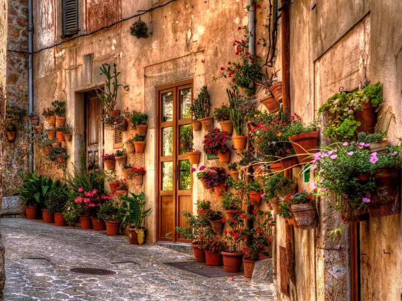 mallorca dmc (4)